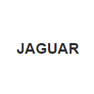 Натяжной ролик приводного ремня для JAGUAR