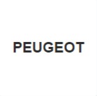 Натяжной ролик приводного ремня для PEUGEOT